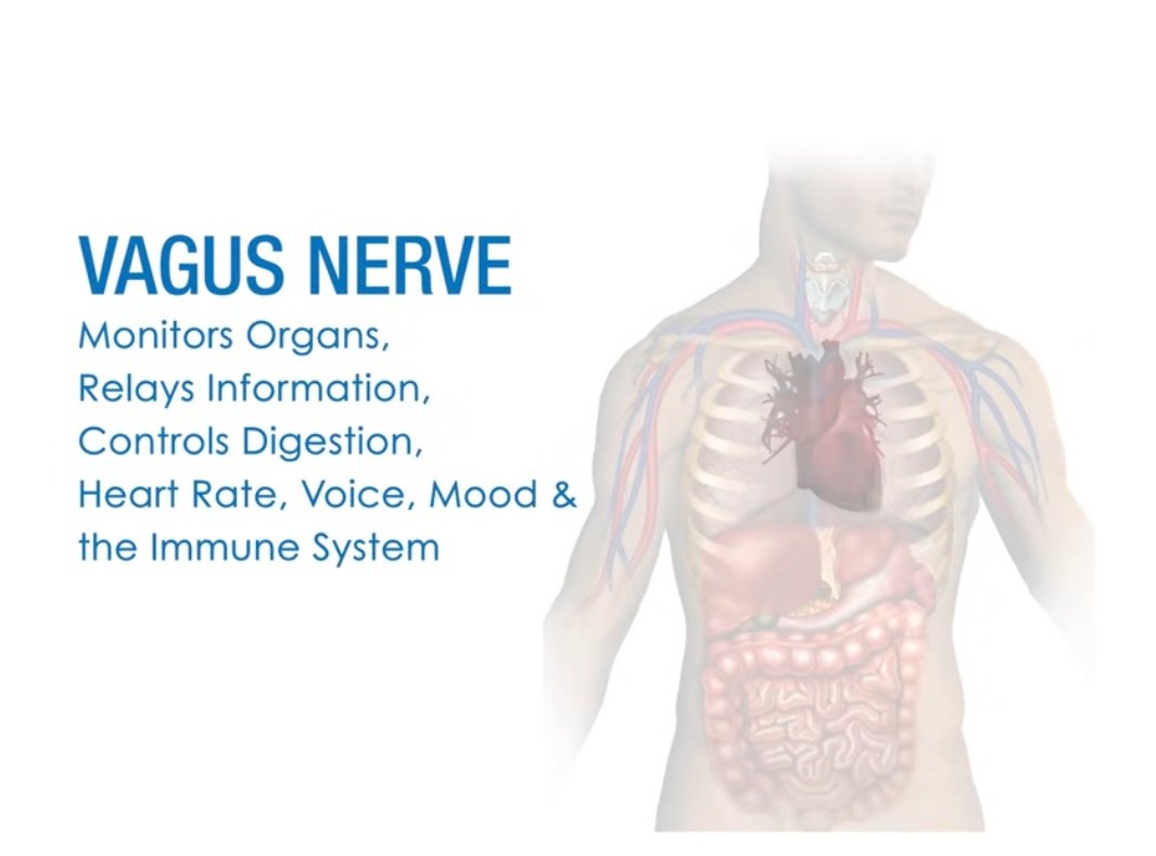 Vegas Nerve Therapy - Fairfax, Virginia